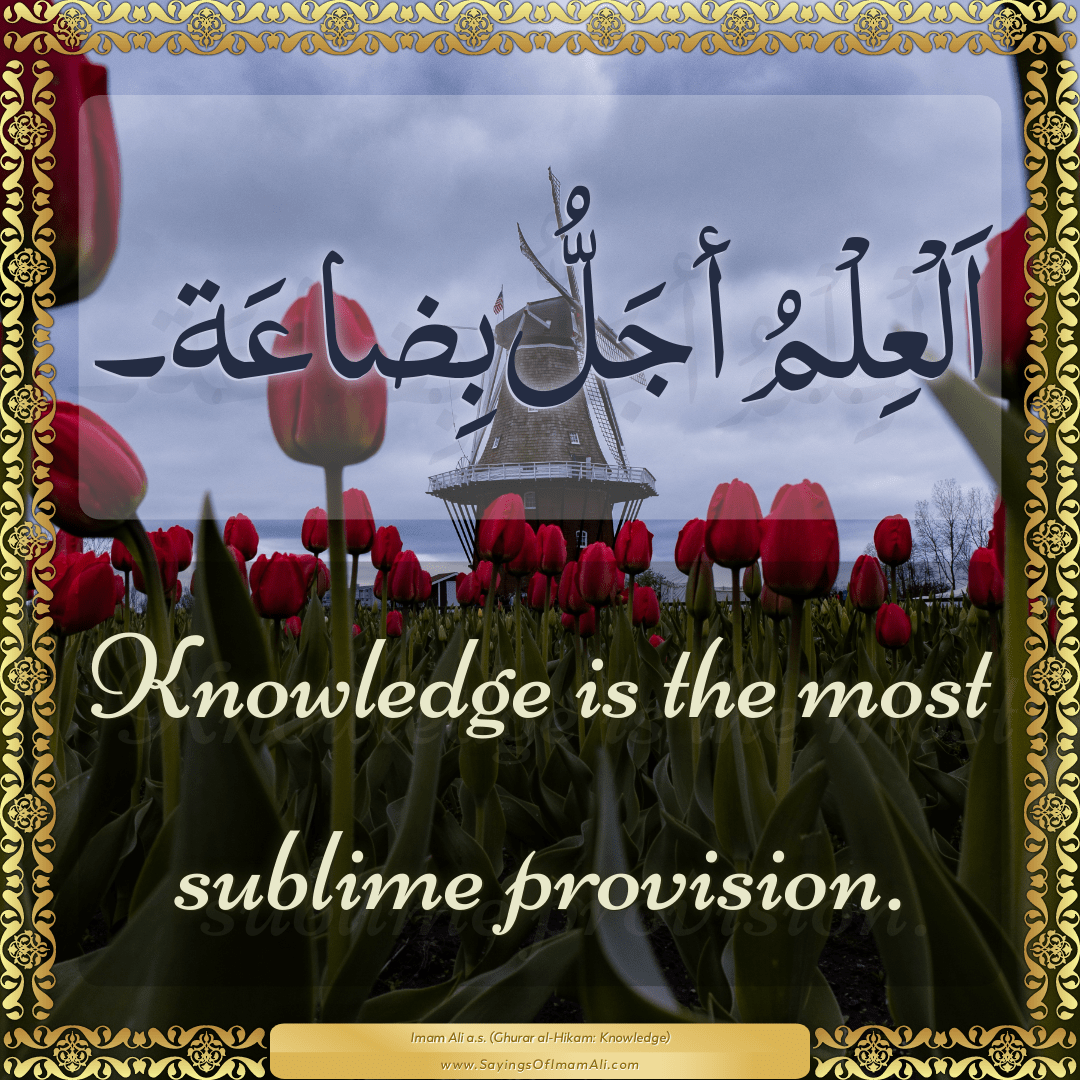 Knowledge is the most sublime provision.